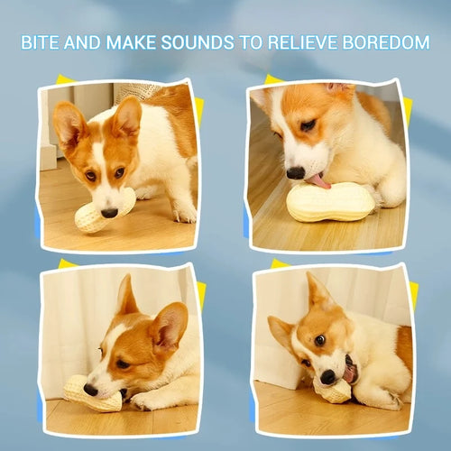 Peanut-shaped squeaky dog toy – product image 2