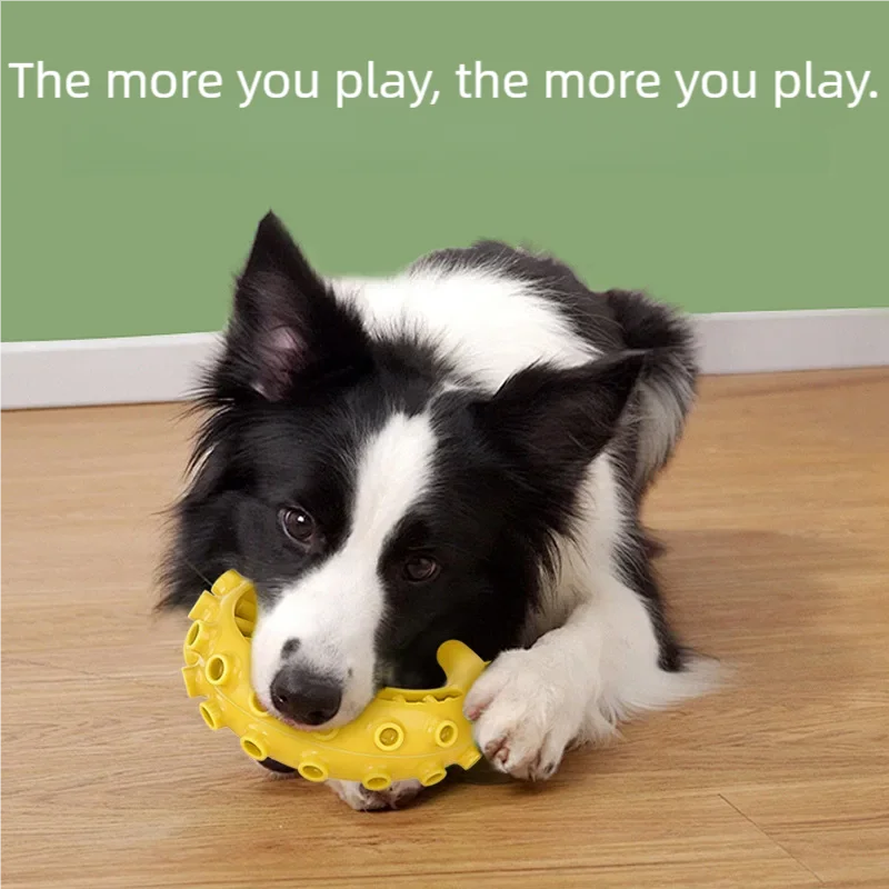 Textured TPR dog chew toy – product image 2